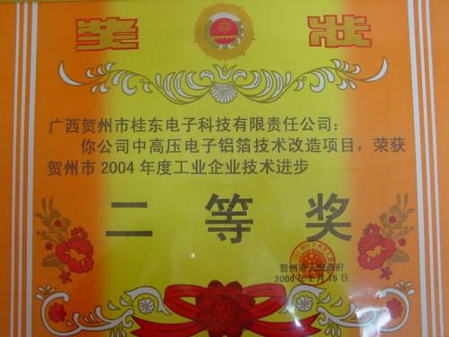 2004年 2004年度賀州市企業(yè)技術(shù)進步二等獎