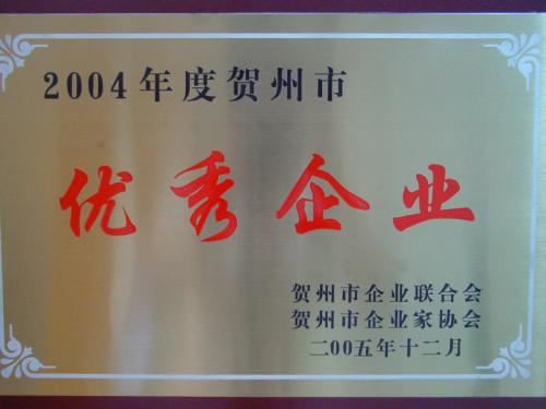 2004年 2004年度賀州市優(yōu)秀企業(yè)